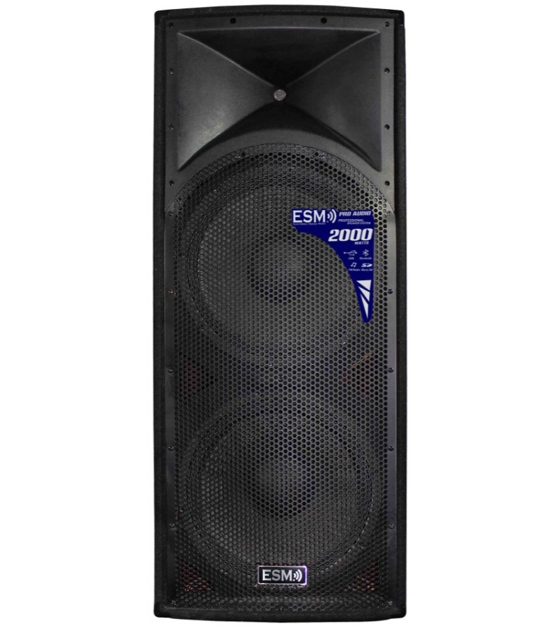 ESM-E0115D COLUMNA PASIVA DOBLE 15" - Imagen 1