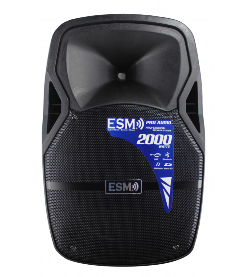 ESM-E4115EQ COLUMNA AMPLIFICADA DE 15" - Imagen 1